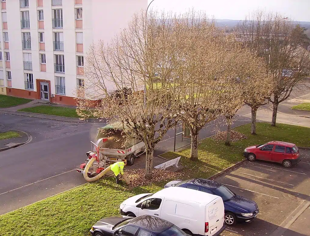 Comment choisir le meilleur aspirateur de feuilles