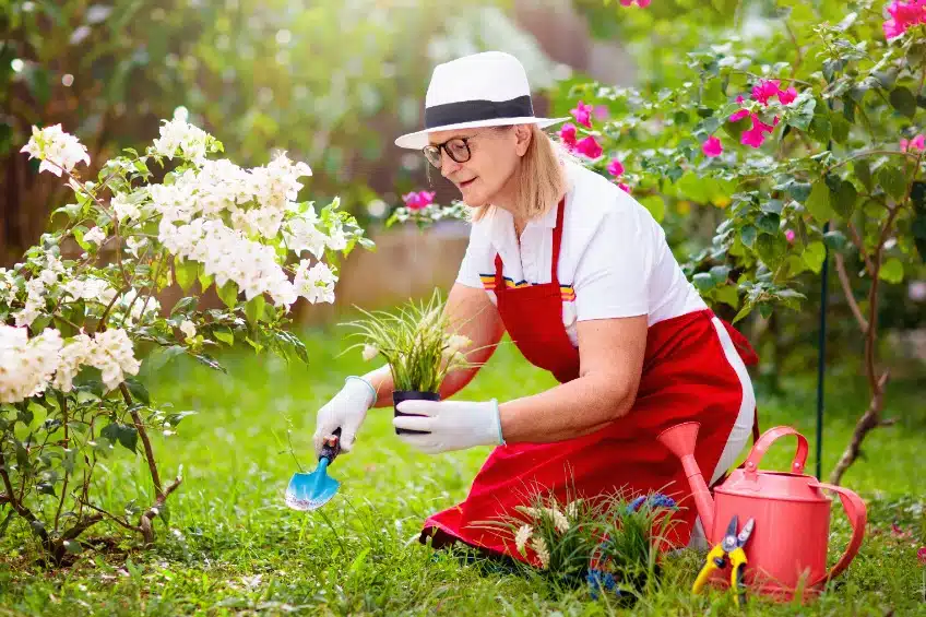 Quels avantages le compost offre-t-il aux plantes de jardin ?