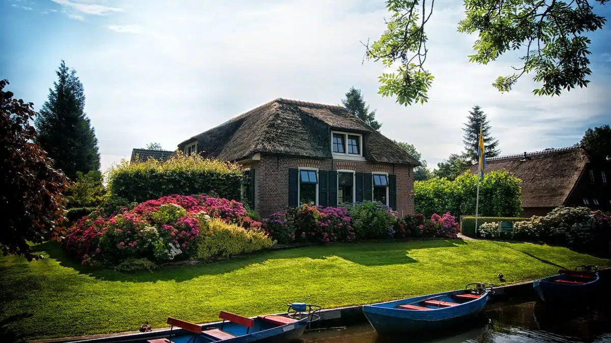 Conseils pratiques pour optimiser l’espace dans votre petit jardin de ville