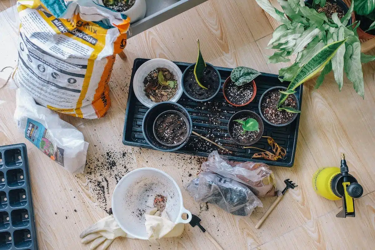Lutte naturelle contre les ravageurs du potager : méthodes efficaces et écologiques