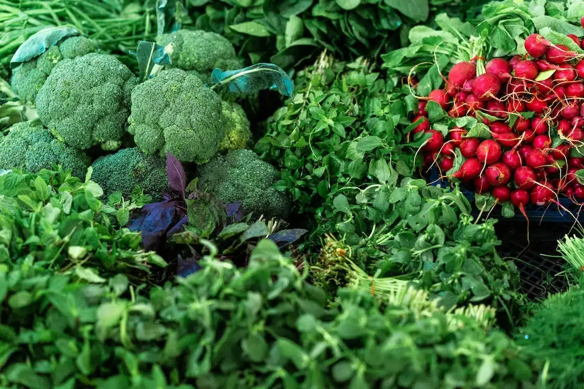 Les plantes compagnes au potager : un duo gagnant pour des récoltes abondantes
