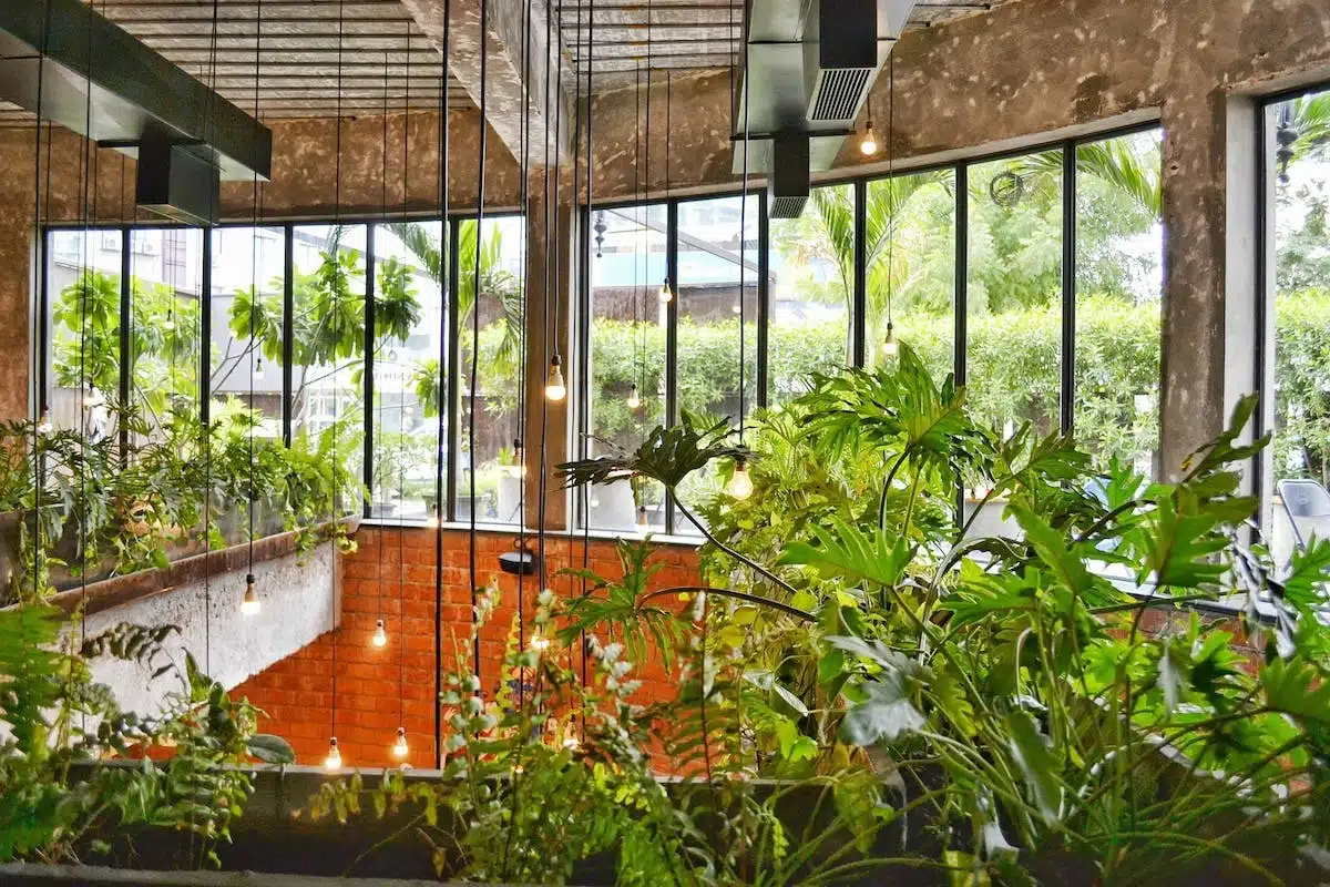 Les légumes parfaits pour un potager urbain sans prise de tête