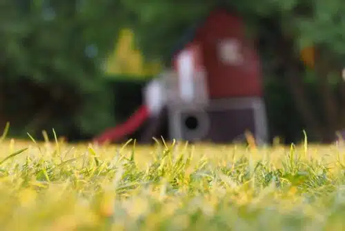 Les meilleures astuces pour un jardin parfaitement organisé et bien rangé