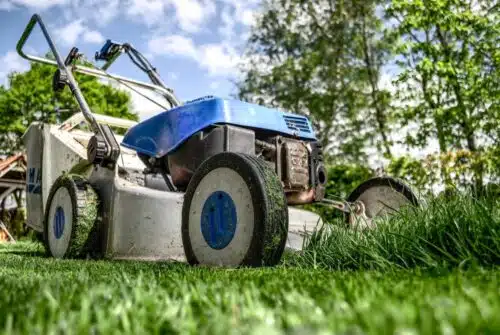 Les pièges à éviter pour réussir la création ou l’entretien de votre gazon