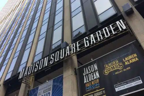 Associer judicieusement les plantes dans un jardin en carrés pour des récoltes abondantes
