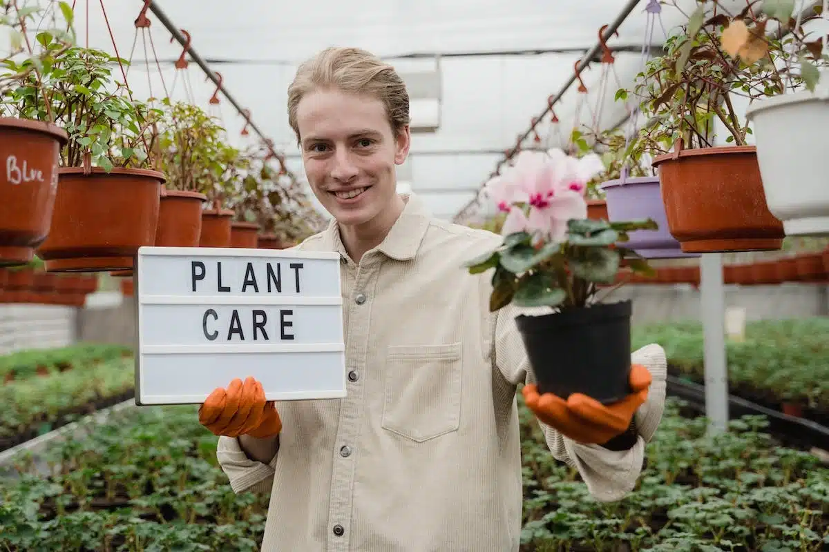 Prendre soin de ses fleurs : découvrez les techniques essentielles pour un entretien réussi