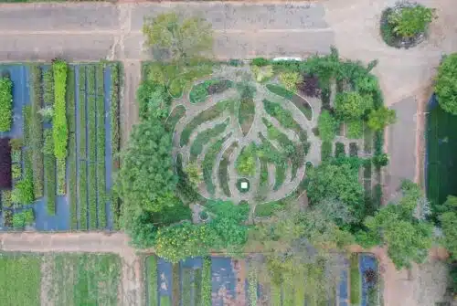 Les conseils essentiels pour aménager un jardin en permaculture
