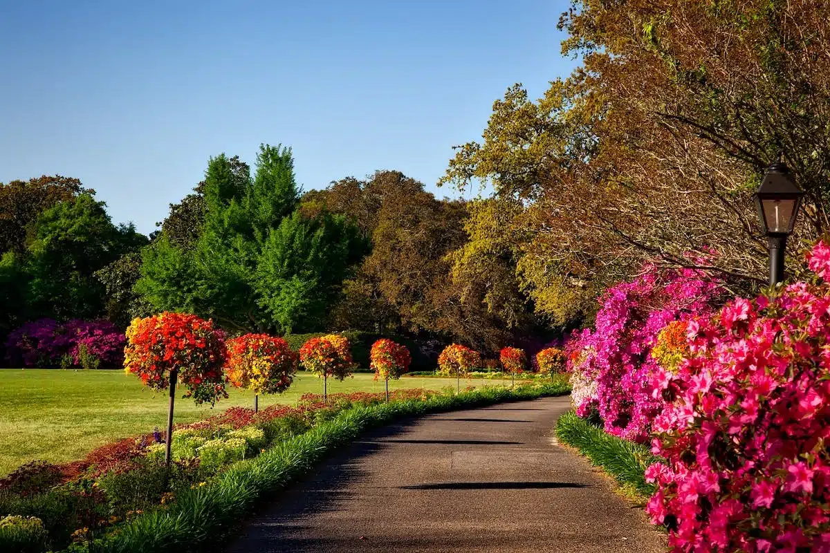 jardin coloré