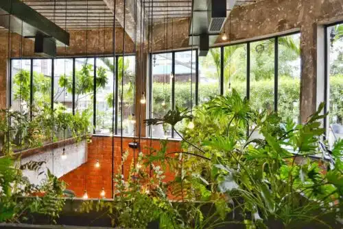 Les meilleures astuces pour créer un magnifique jardin urbain, même dans un petit espace