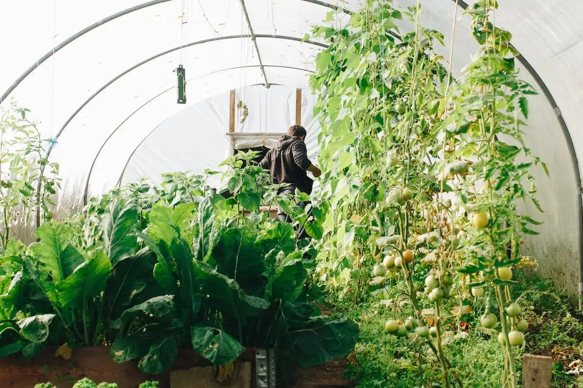 Les vertus du jardinage pour votre bien-être corporel et psychique