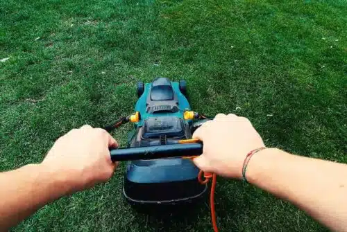 Les avantages indéniables d’une tondeuse robot pour votre jardin