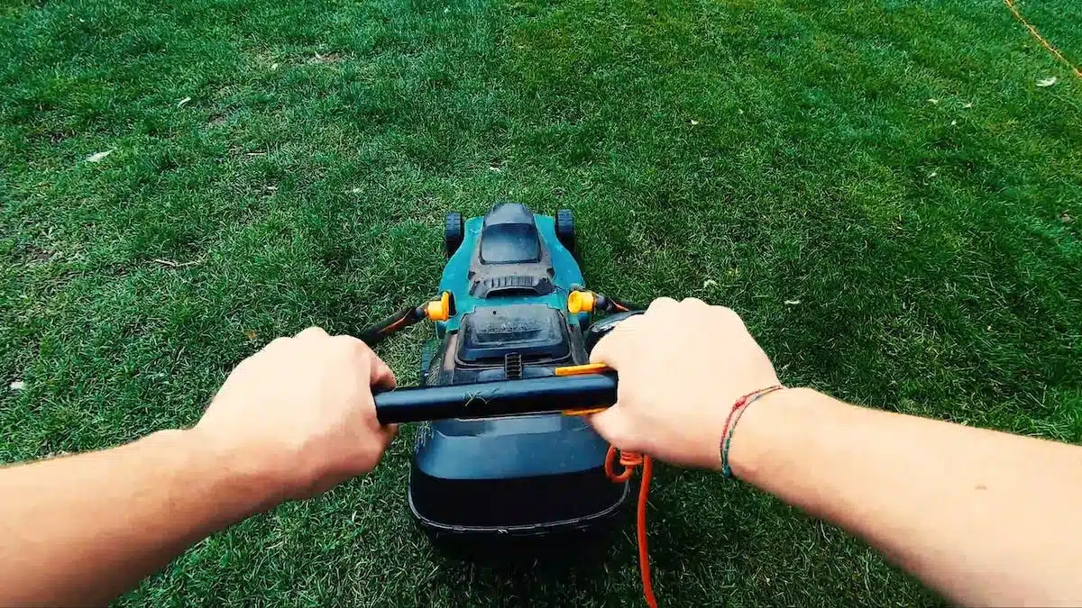Les avantages indéniables d’une tondeuse robot pour votre jardin