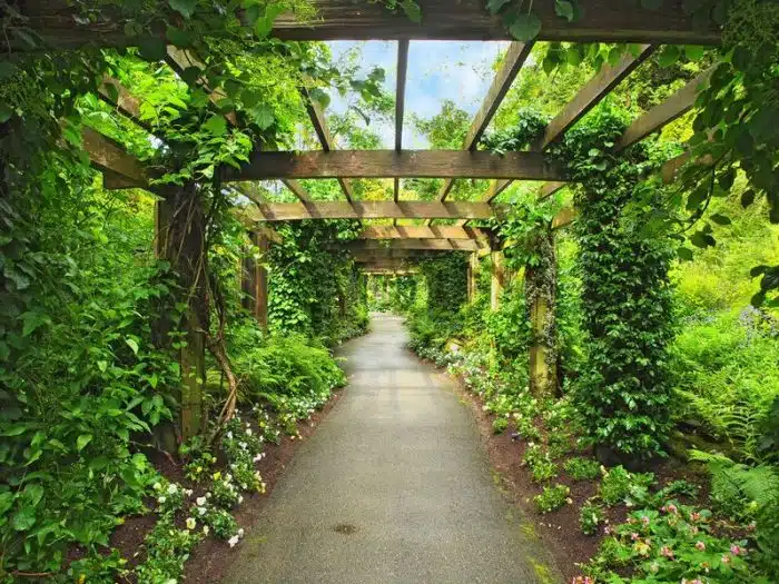 pergola bioclimatique