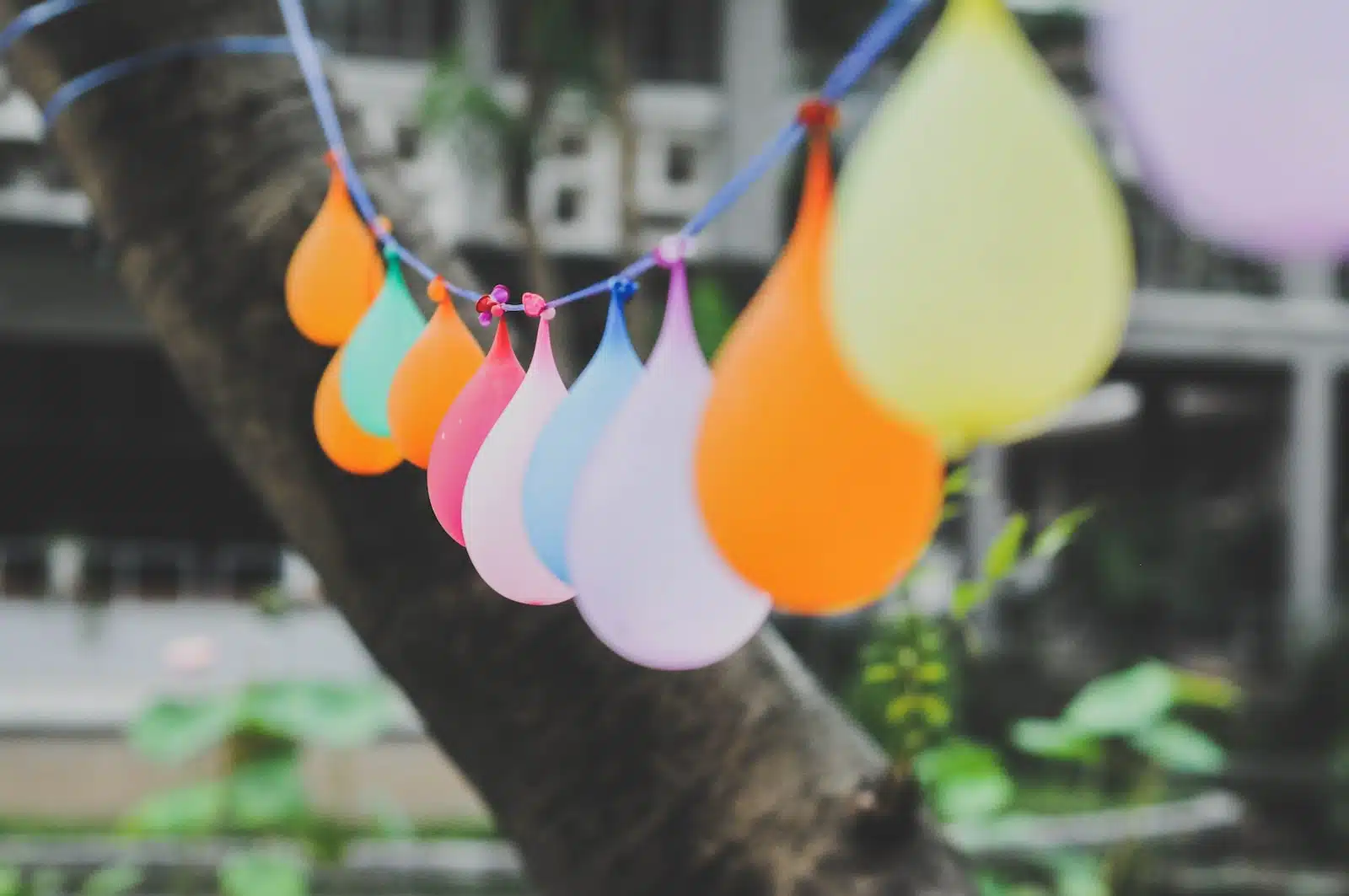 Comment décorer sa bordure de jardin pour une fête ?