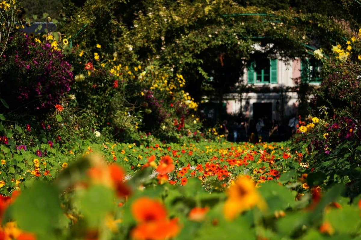 Comment choisir les bonnes plantes pour votre jardin