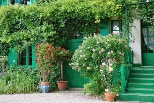 Quelle plante grimpante pour un mur au nord ?