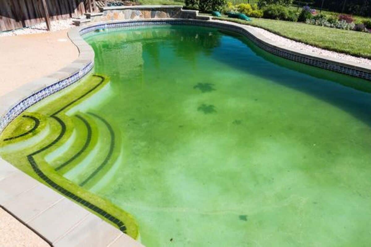 Comment nettoyer son eau de piscine verte naturellement ?