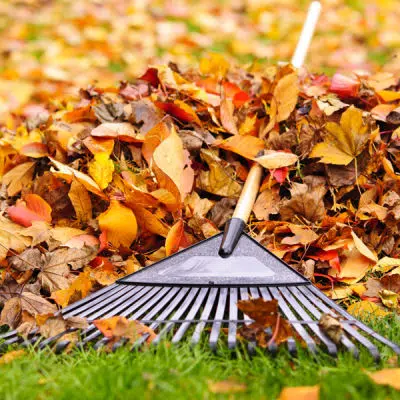 Quand nettoyez-vous le jardin ?