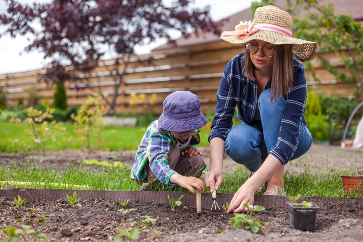 Comment fertiliser naturellement votre potager