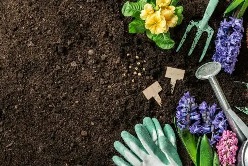 Comment améliorer les terres argileuses ?