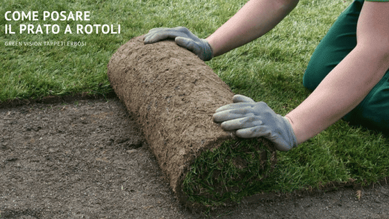 Comment faire des rouleaux d’herbe ?