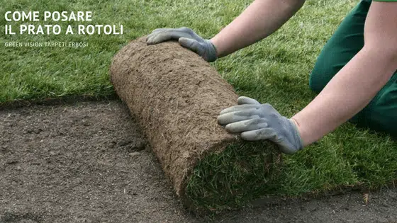 Comment faire des rouleaux d’herbe ?