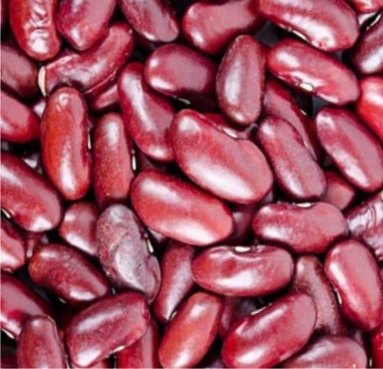 Comment faire pousser les haricots plus rapidement ?