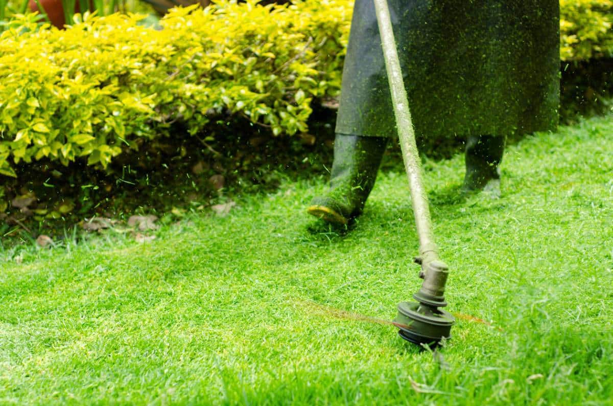 Débroussailler votre jardin : le bon outil pour les bons travaux