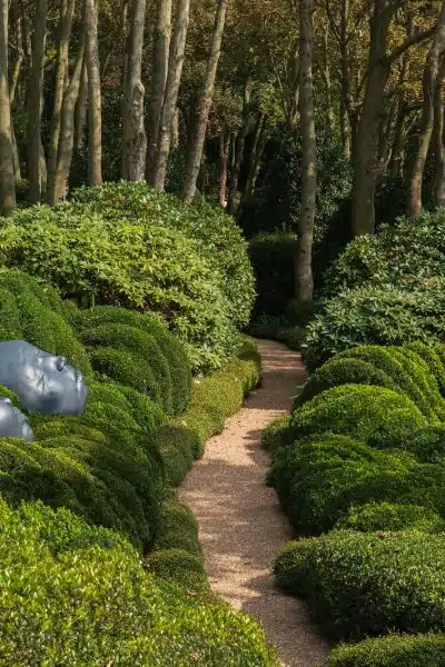 5 astuces pour créer un jardin écologique