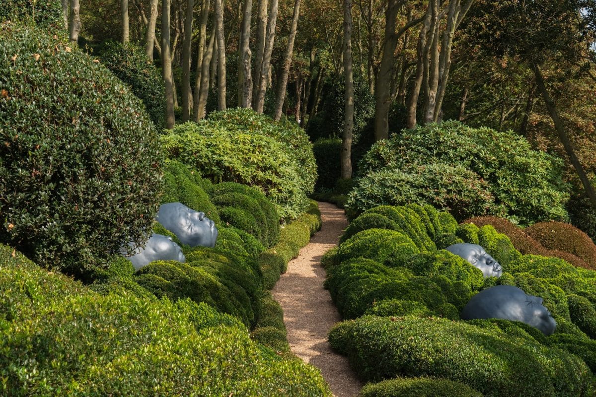 5 astuces pour créer un jardin écologique