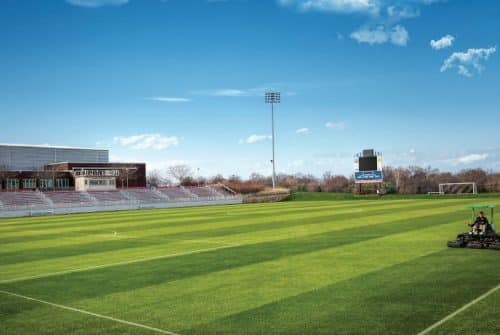 Comment entretenir un terrain de football ?