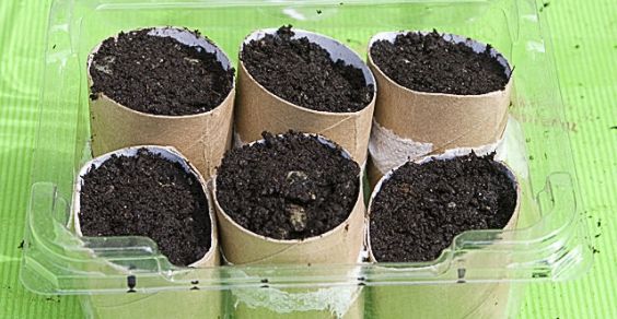 Comment faire une petite serre pour la plantation ?