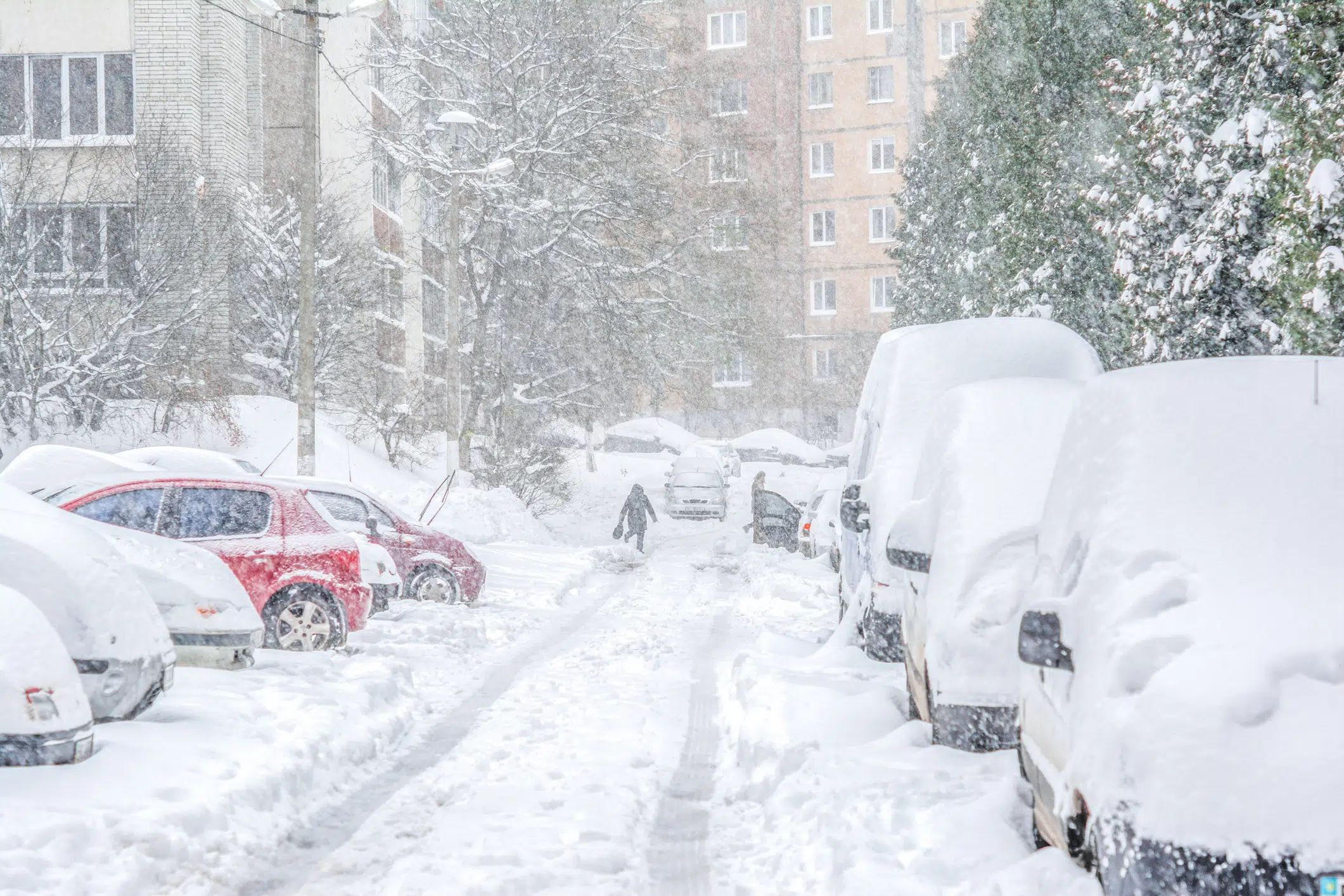 Comment prévenir le gel dans la voiture ?