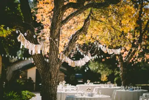 Comment décorer sa bordure de jardin pour une fête ?