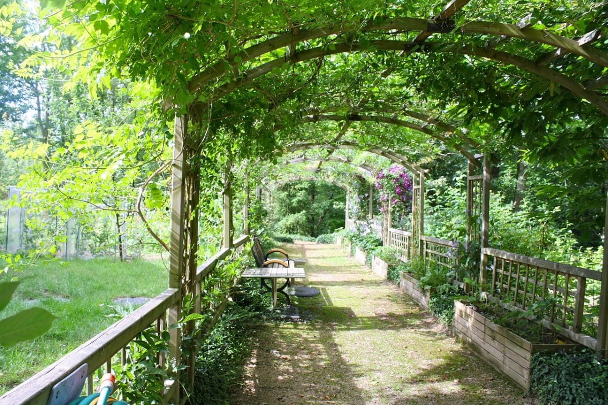 Les différentes formes de pergolas en bois pour votre jardin