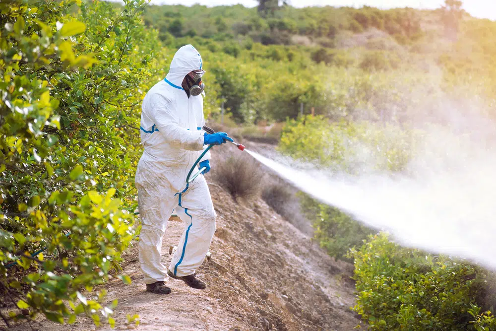 Doit on encore utiliser des pesticides en 2022 ?