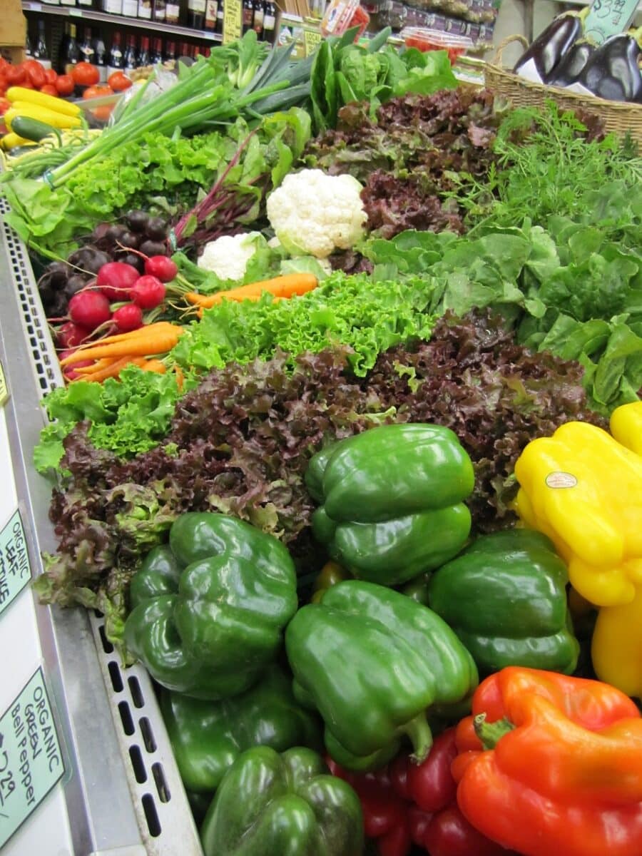 Quand semer vos aubergines dans le potager ?