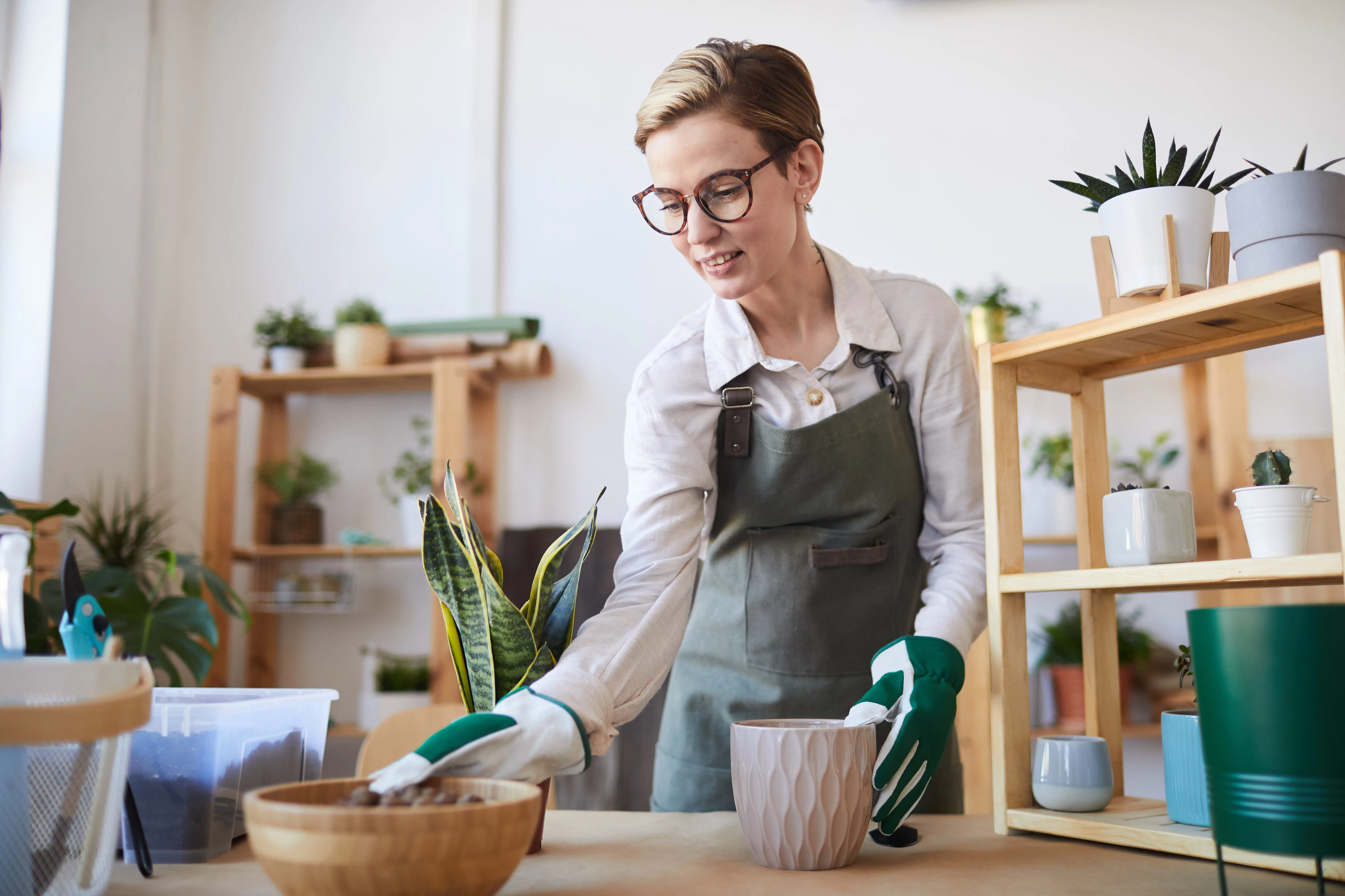 Prendre soin de ses plantes d’interieur pendant l’été