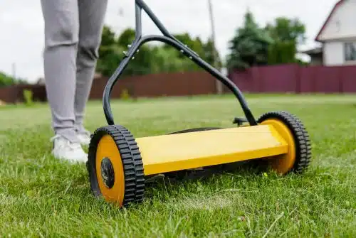 Tondeuse manuelle : entretenir efficacement le jardin